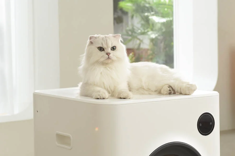 kitty litter box that cleans itself